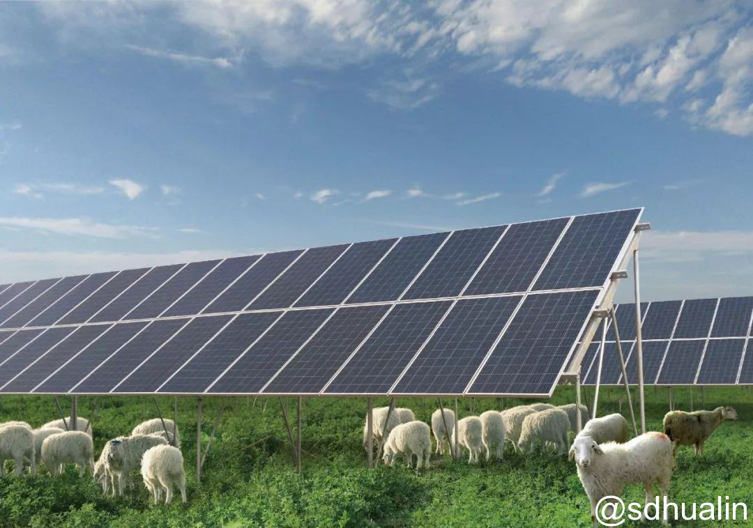 “光伏+農(nóng)業(yè)”八大模式 你了解多少？